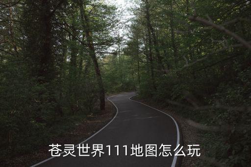 苍灵世界111地图怎么玩