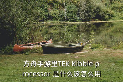 方舟手游冰原怎么进化，方舟手游里TEK Kibble processor 是什么该怎么用