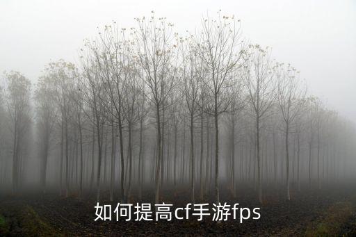 如何提高cf手游fps