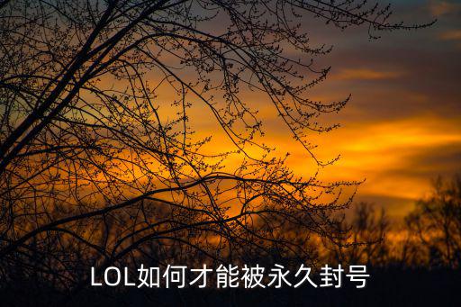 英雄联盟手游怎么才能封号10年，LOL如何才能被永久封号