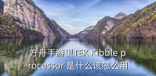 方舟手游里TEK Kibble processor 是什么该怎么用