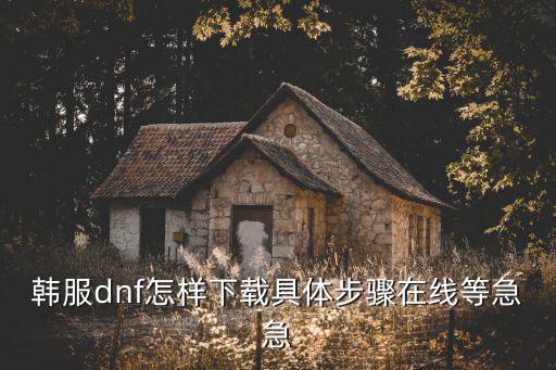 华为怎么下dnf韩服手游，韩服DNF怎么下