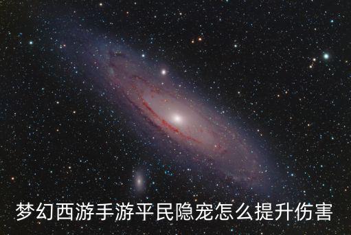 梦幻西游手游平民隐宠怎么提升伤害