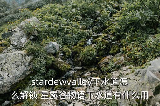 stardewvalley下水道怎么解锁 星露谷物语下水道有什么用