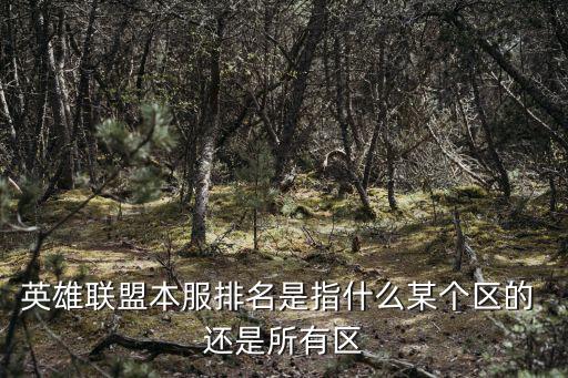 英雄联盟本服排名是指什么某个区的 还是所有区