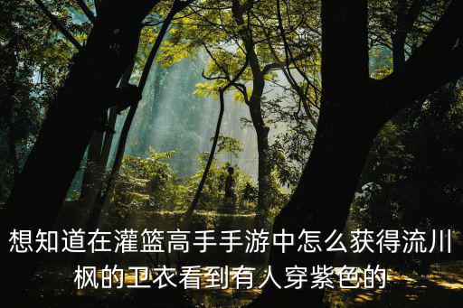 想知道在灌篮高手手游中怎么获得流川枫的卫衣看到有人穿紫色的