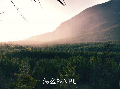 怎么找NPC