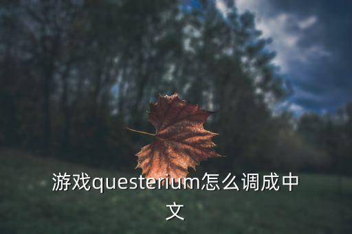 游戏questerium怎么调成中文