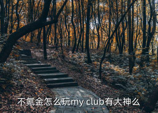 不氪金怎么玩my club有大神么