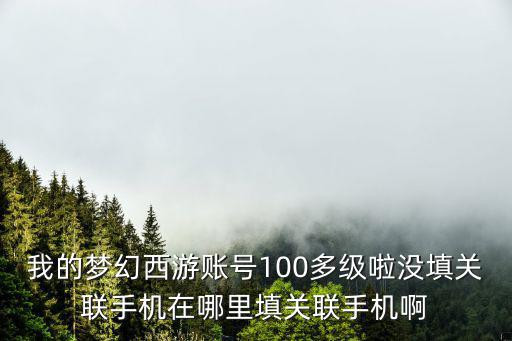 我的梦幻西游账号100多级啦没填关联手机在哪里填关联手机啊