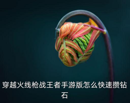 穿越火线枪战王者手游版怎么快速攒钻石