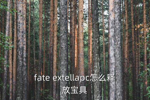 命运创世手游宝具怎么放，fate extella宝具怎么放