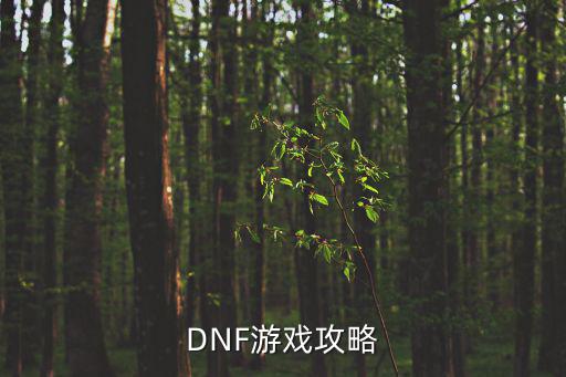 DNF游戏攻略