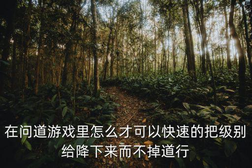 在问道游戏里怎么才可以快速的把级别给降下来而不掉道行