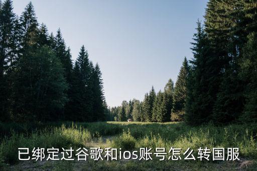 已绑定过谷歌和ios账号怎么转国服