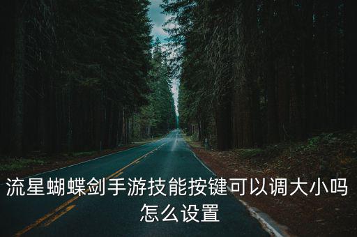 流星蝴蝶剑手游技能按键可以调大小吗 怎么设置