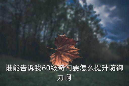 谁能告诉我60级奇门要怎么提升防御力啊