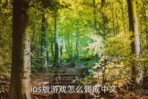 ios版游戏怎么调成中文