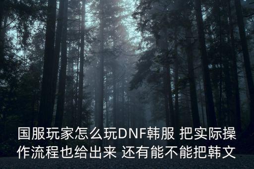 国服玩家怎么玩DNF韩服 把实际操作流程也给出来 还有能不能把韩文