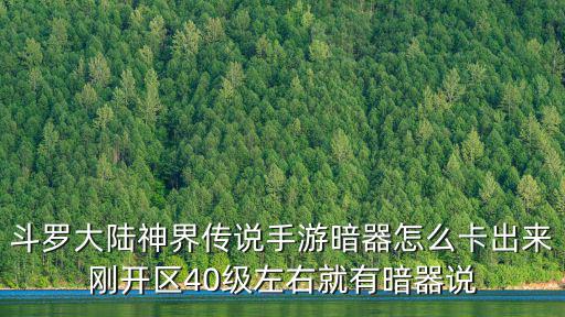 斗罗大陆神界传说手游暗器怎么卡出来刚开区40级左右就有暗器说