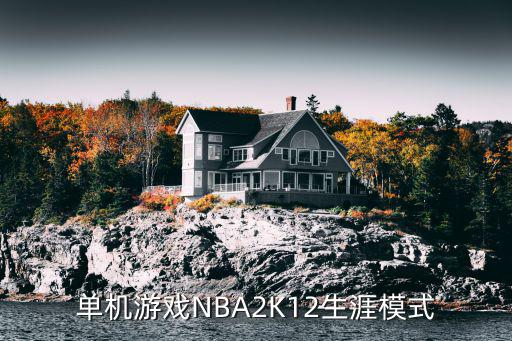 单机游戏NBA2K12生涯模式