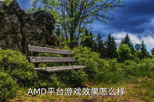 AMD平台游戏效果怎么样