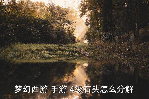 梦幻西游 手游 4级石头怎么分解