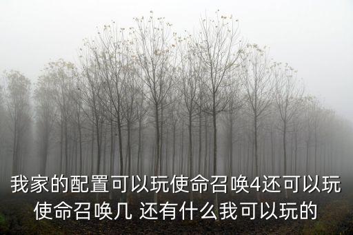 我家的配置可以玩使命召唤4还可以玩使命召唤几 还有什么我可以玩的