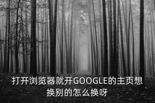 打开浏览器就开GOOGLE的主页想换别的怎么换呀