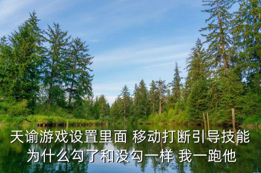 天谕游戏设置里面 移动打断引导技能 为什么勾了和没勾一样 我一跑他