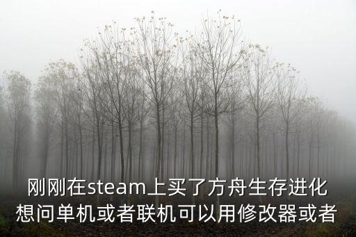 刚刚在steam上买了方舟生存进化想问单机或者联机可以用修改器或者