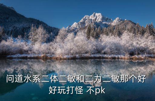 问道水系二体二敏和二力二敏那个好 好玩打怪 不pk