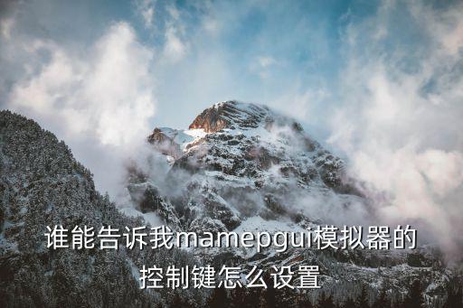 谁能告诉我mamepgui模拟器的控制键怎么设置