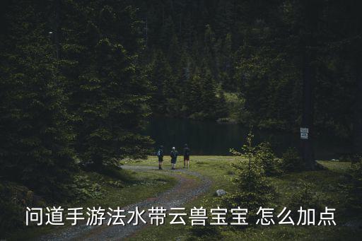 问道手游法水带云兽宝宝 怎么加点