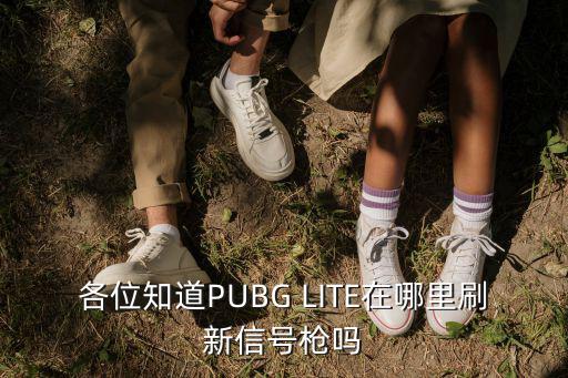 各位知道PUBG LITE在哪里刷新信号枪吗