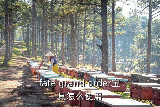 fate grand order宝具怎么使用