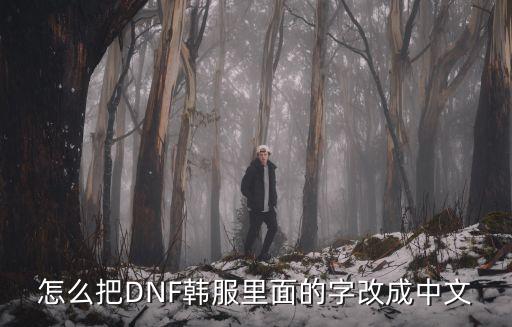 怎么把DNF韩服里面的字改成中文