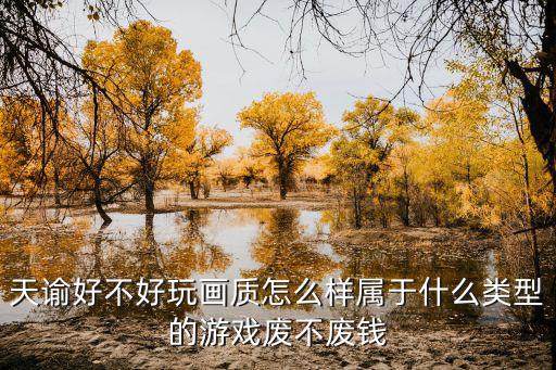 天谕好不好玩画质怎么样属于什么类型的游戏废不废钱