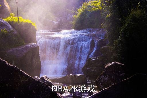 nba2k21手游怎么被打，NBA2K游戏