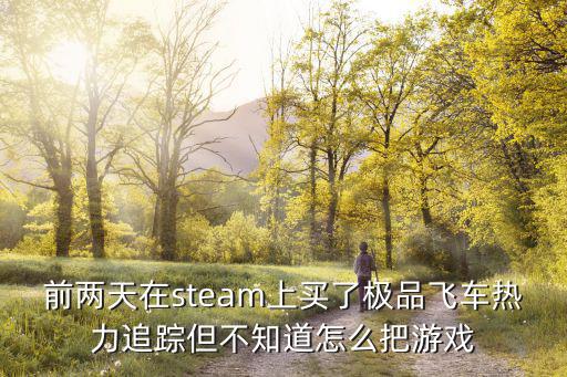 前两天在steam上买了极品飞车热力追踪但不知道怎么把游戏