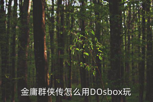 金庸群侠传怎么用DOsbox玩