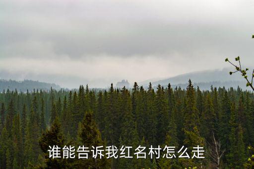 谁能告诉我红名村怎么走