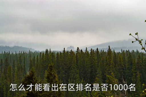 怎么才能看出在区排名是否1000名