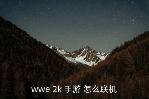 手游2k怎么两人联机，wwe 2k 手游 怎么联机