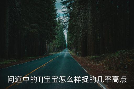 问道中的TJ宝宝怎么样捉的几率高点