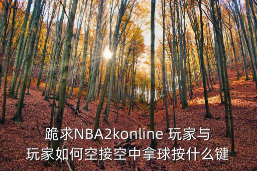 2k22手游怎么完成空接，跪求NBA2konline 玩家与玩家如何空接空中拿球按什么键