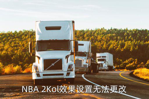 NBA 2Kol效果设置无法更改