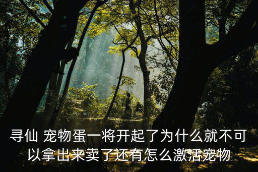 寻仙手游宠物蛋怎么卖，寻仙宠物蛋打开后还能交易吗