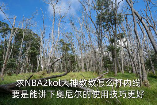 手游2k 怎么用奥尼尔训练，求NBA2kol大神教教怎么打内线要是能讲下奥尼尔的使用技巧更好