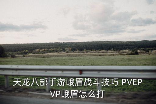 天龙八部手游峨眉战斗技巧 PVEPVP峨眉怎么打